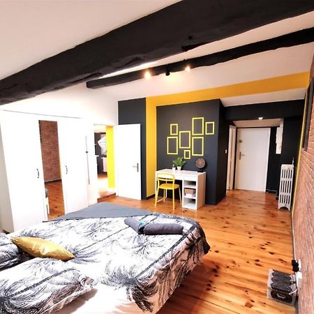 Apartament La Terrasse De Jeanne - Vue Magnifique - Netflix Tuluza Zewnętrze zdjęcie